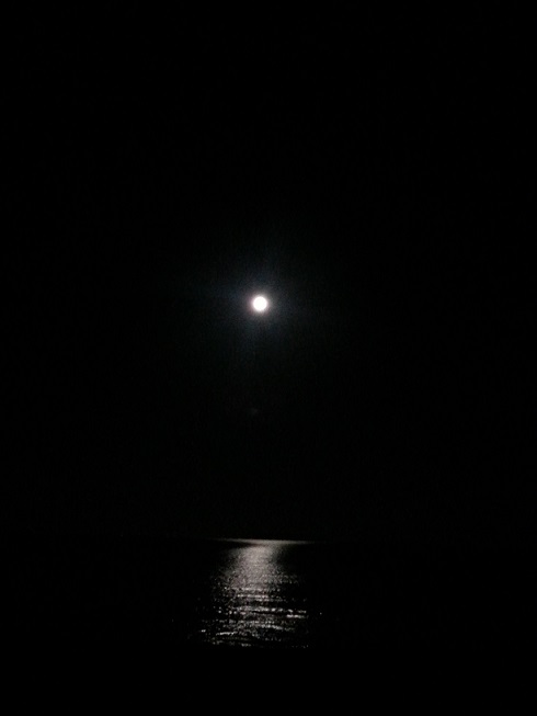 海に映えるお月様.jpg